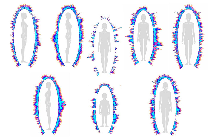 Slika 1: Biopolje (energijsko polje)