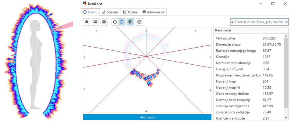 Biopolje desnega palca