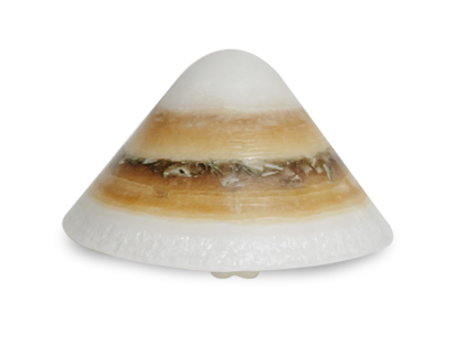 Orgonit Alefi po čakrah