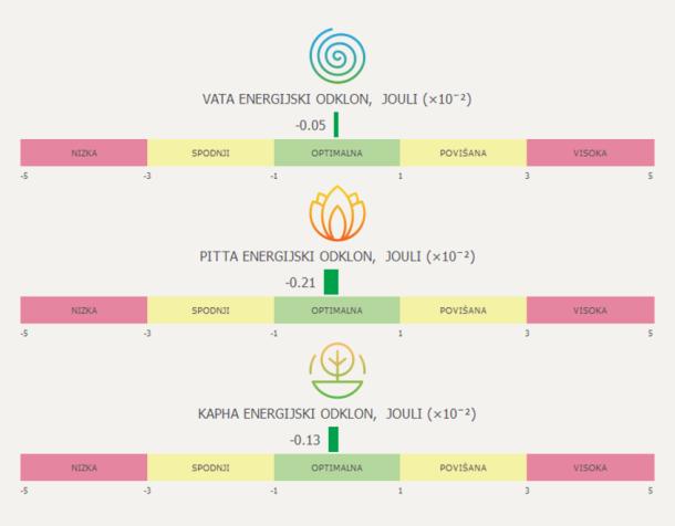 Alefi energijska diagnostika telesa: prikaz doš