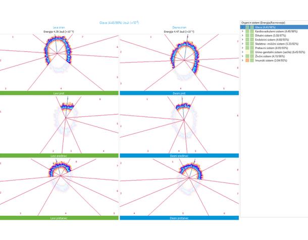 Alefi energijska diagnostika telesa: prikaz energije po organih