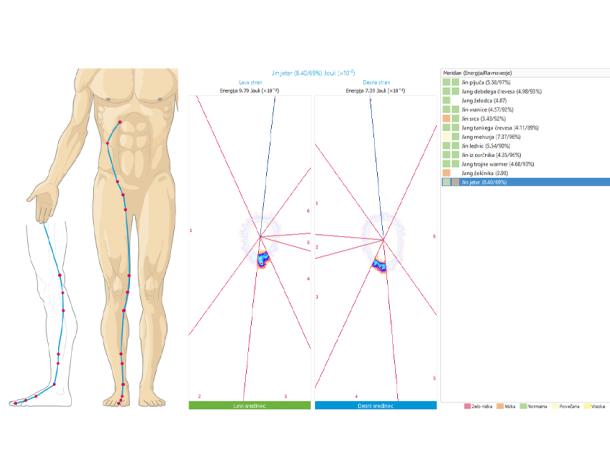 Alefi energijska diagnostika telesa: prikaz jin in jang